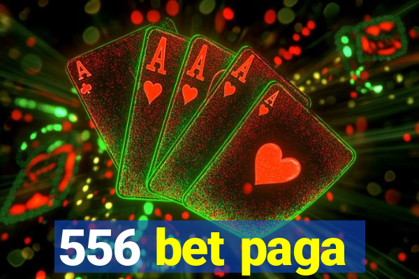 556 bet paga